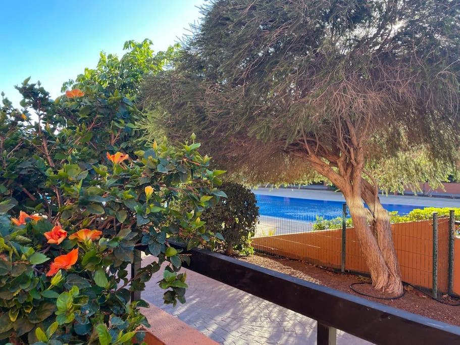 Cozy Apartment With Large Terrace Next To The Pool La Tejita Exterior photo